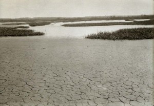 Isle of Meadows, Fresh Kills, 5.21.1933